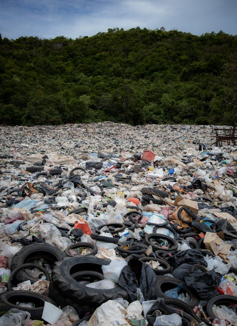 A large open area filled with a significant accumulation of mixed rubbish and waste materials, predominantly comprising plastic bags, discarded packaging, and other debris scattered across the ground. The waste appears loosely piled, with some items partially buried under others, indicating an unmanaged or illegal dumping site. In the middle distance, a few white birds, likely seagulls, are seen pecking or hovering above the rubbish, attracted by the debris. Behind the waste, there are trees with sparse foliage, suggesting a natural backdrop that contrasts with the refuse in the foreground. The sky above is overcast, casting diffuse light over the scene, and in the background, a bridge or elevated road structure with a series of electrical wires and poles is visible, with a few birds perched on the wires. The scene emphasizes the importance of proper waste disposal and highlights the need for professional rubbish removal services like Rubbish Removal Paddington to prevent such illegal dumping sites.